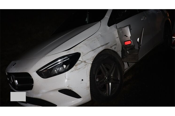 PÁTRÁNÍ PO SVĚDCÍCH NEHODY_do_1225_PČR (2)