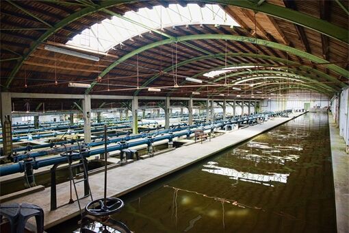 Budova_filtraci7_Zdroj_Chabal_fish_Foto_Jan_Vanek