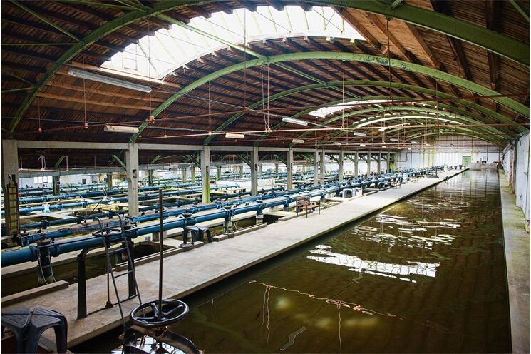 Budova_filtraci7_Zdroj_Chabal_fish_Foto_Jan_Vanek