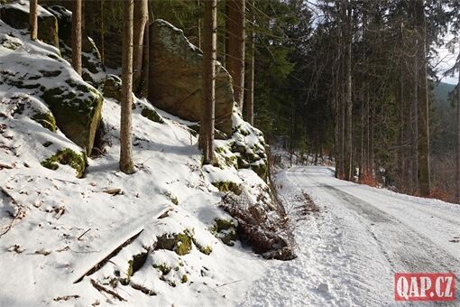 Šumava 1 leden _ QAP (22) Šumava 1 leden _ QAP (22)