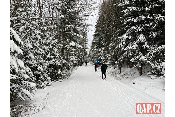 Běžky ŠUmava_ Gerlova Huť_ foto QAP (9)