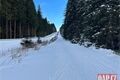 Běžky _ Šumava_ Gerlova Hut_ foto QAP (3)
