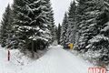 Běžky _ Šumava_ Gerlova Hut_ foto QAP (11)