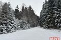 Běžky ŠUmava_ Gerlova Huť_ foto QAP (3)