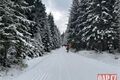 Běžky ŠUmava_ Gerlova Huť_ foto QAP (7)