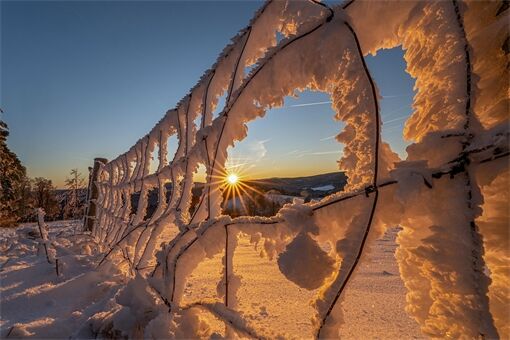 zima_mráz_ilustrační_0126_Milan Janoch