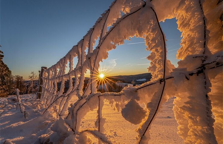 zima_mráz_ilustrační_0126_Milan Janoch