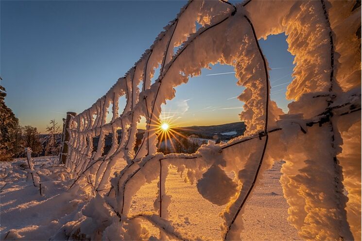 zima_mráz_ilustrační_0126_Milan Janoch