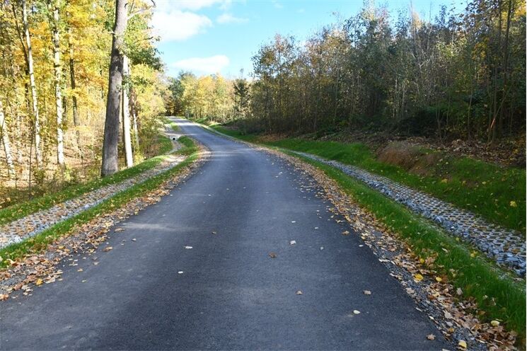 Nový povrch v městských lesích_0126_MMP, SVS (5)