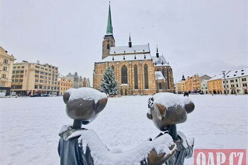 WhatsApp Image 2026-01-09 at 12.13.15 (6)