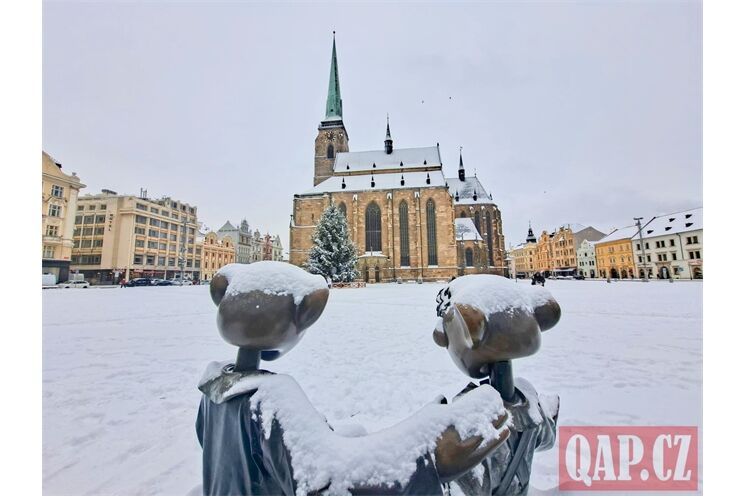 WhatsApp Image 2026-01-09 at 12.13.15 (6)