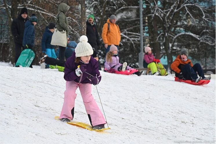 bobování_sníh_Plzeň_0126_ilustrační_Milan Svoboda (5)