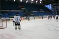 Plzeň hokej