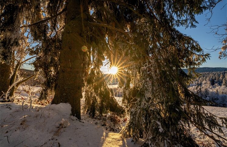 Sníh_mráz_0126_Milan Janoch (6)