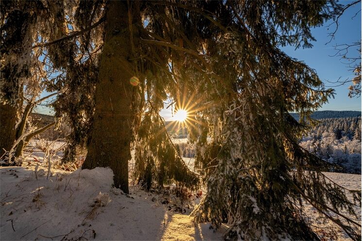 Sníh_mráz_0126_Milan Janoch (6)