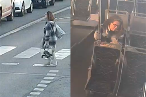 pátrání brašna Plzeň_0126_PČR (1)