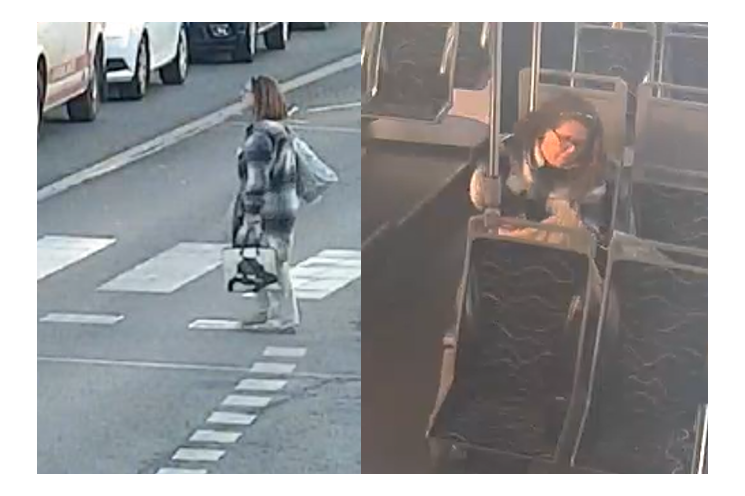 pátrání brašna Plzeň_0126_PČR (1)