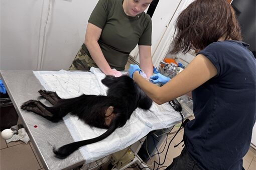 nekrmte zvířata_zoo_0126_zoo Plzeň