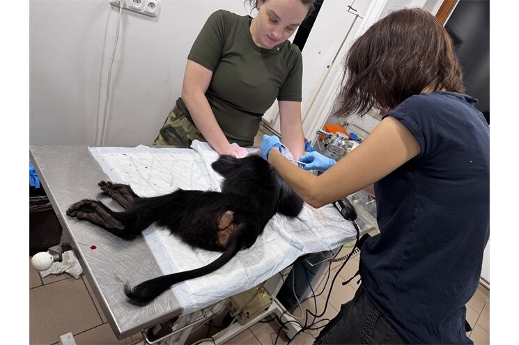 nekrmte zvířata_zoo_0126_zoo Plzeň