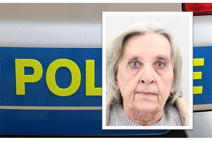 KŮSTKOVÁ JIŘINA.jpg1