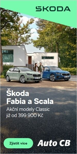 build-4019315-300x600@fabia-scala