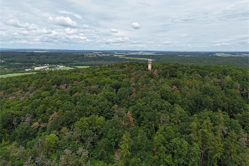 Chlum ilustrační foto_0126_ÚMO4 (1) Chlum ilustrační foto_0126_ÚMO4 (1)