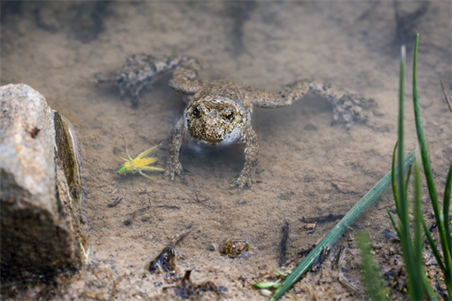 revitalizace PK v Dolní Lukavici_0126_PK revitalizace PK v Dolní Lukavici_0126_PK