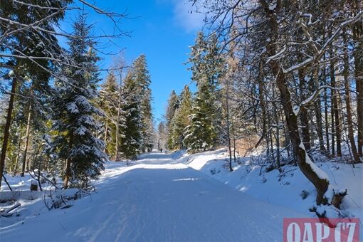 Šumava_Železnorudsko_0126_QAP (8)