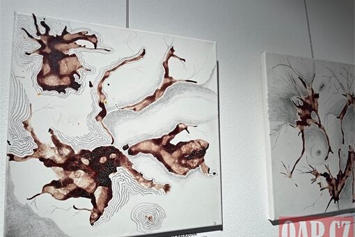 vernisáž Krevní obrazy_0226_QAP (3)