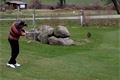 alf golf