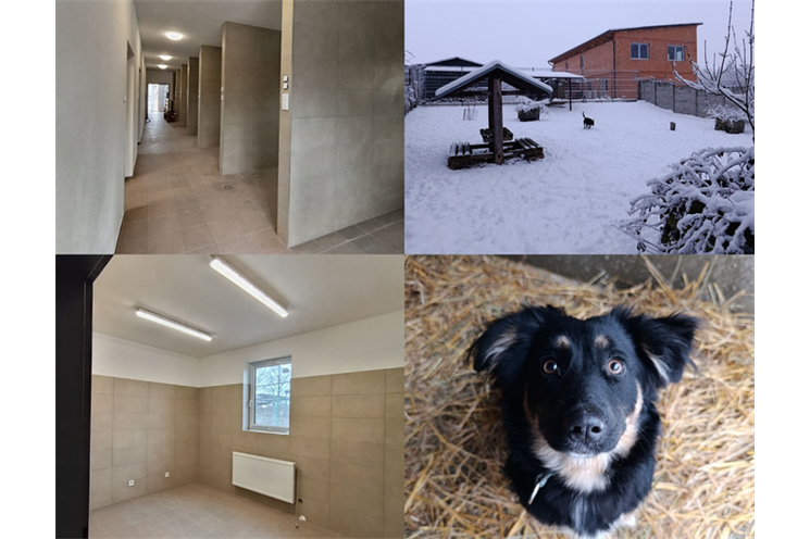 Útulek u šmudliny_0226_FB Šmudlina (1)