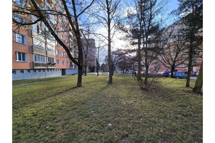 20260218_sokolovska_planovana_regenerace_druhy_vnitroblok (3)