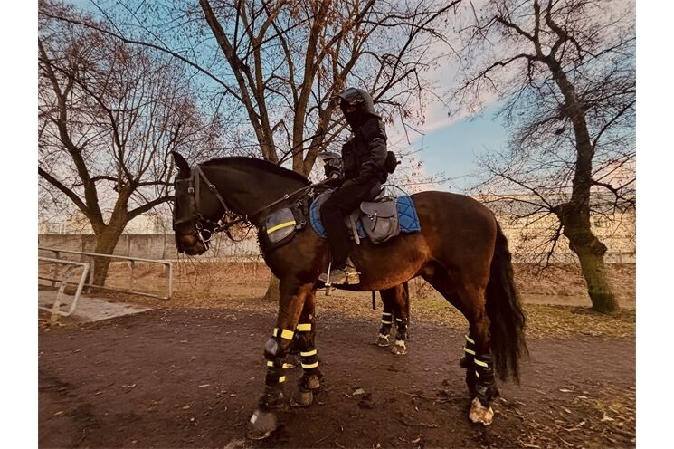 Fotbalové utkání pod dohledem policie_0226_PČR,MPP (11)