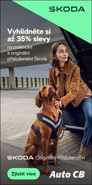 2026 JSA 300x600@flexi