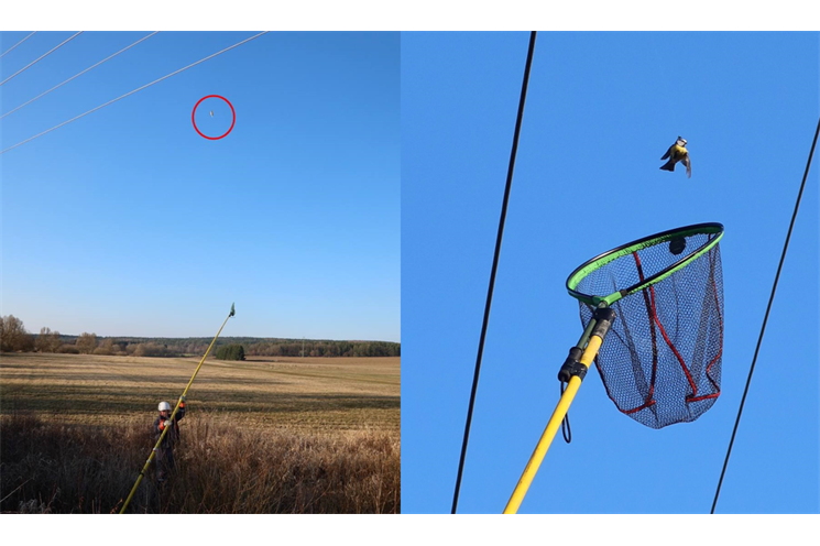 záchrana sýkorky_0326_DESOP (1)