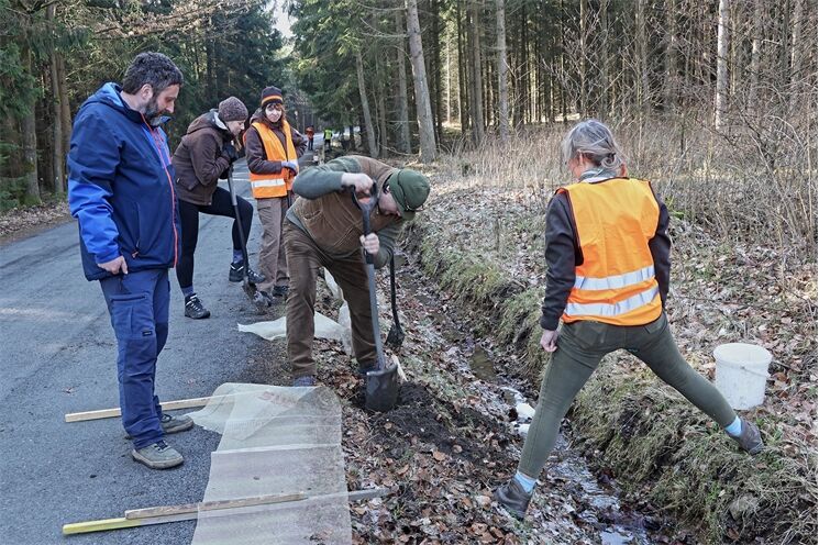 zábrany žáby Volduchy_0326_Zoo Plzeň (4)