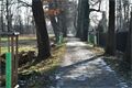 kilometrovka stromy_0326_MMP (1)