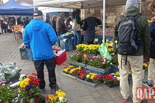 farmarske trhy QAP (5)