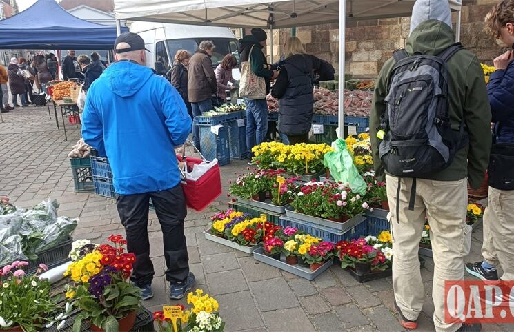 farmarske trhy QAP (5)