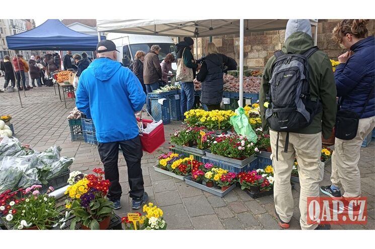farmarske trhy QAP (5)
