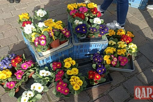 farmarske trhy QAP (1) farmarske trhy QAP (1)