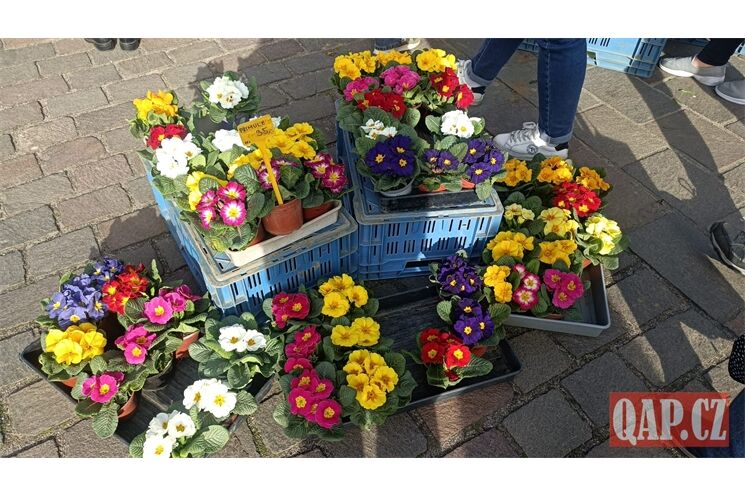 farmarske trhy QAP (1)