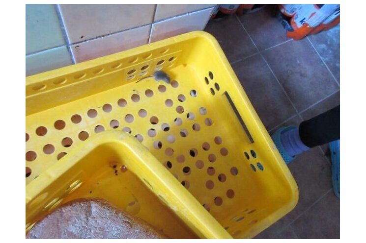 inspekce prodejna Nepomuk_0326_SZPI (6)