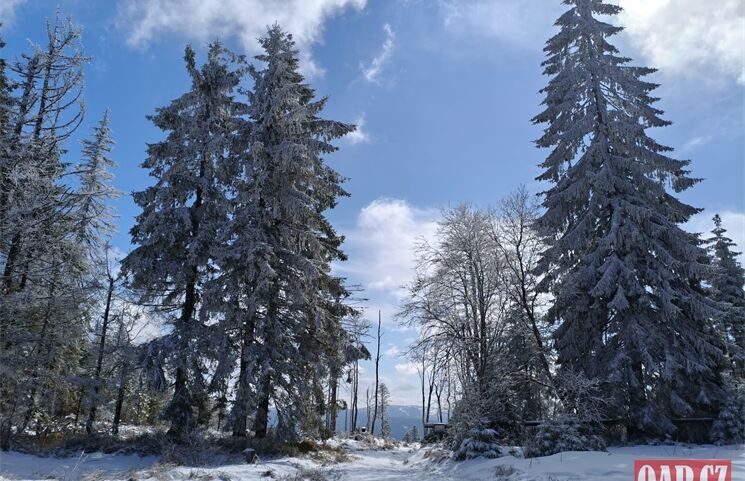 železnorudsko šumava foto QAP (15)