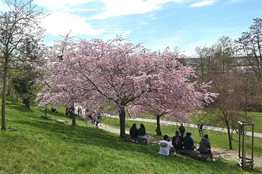 jaro v Plzni0426_Milan Svoboda (2) jaro v Plzni0426_Milan Svoboda (2)