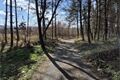 20260327_pecihradek_levy_breh_berounky (26)
