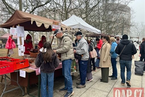 Farmářské trhy Plzeň_0426_U Zvonu_QAP (10)