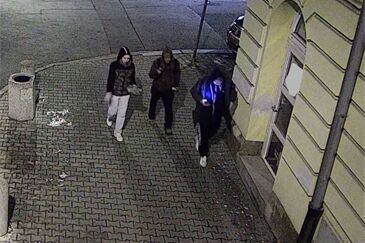 pátrání zloděj daněk Plzeň_0426_PČR (1)