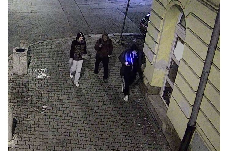 pátrání zloděj daněk Plzeň_0426_PČR (1)