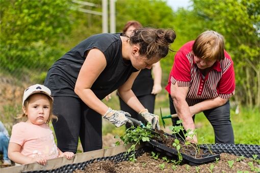 dobrovolnictví_0426_zdroj Dny dobrovolnictví